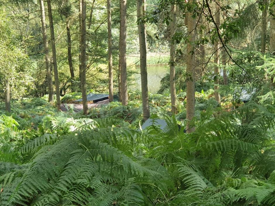 Bushcraft Show.jpg