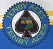 Tenby Aces logo