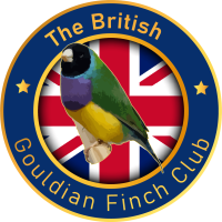 The British Gouldian Finch Club logo