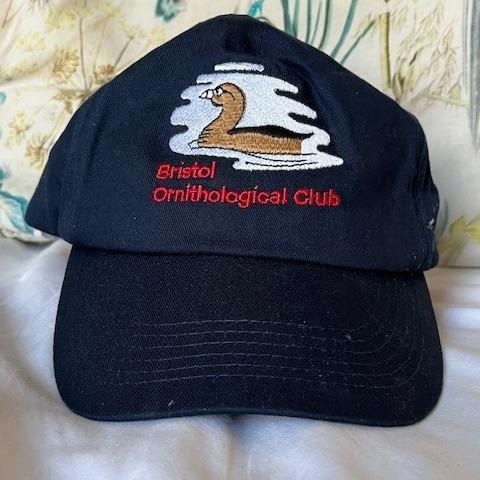 Bristol Ornithological Club at membermojo