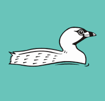 Bristol Ornithological Club logo