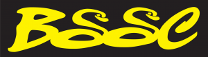 Buckingham Swans Swimming Club logo
