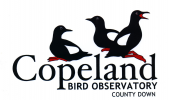 Copeland Bird Observatory logo