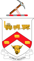 Darlington Cricket Club logo