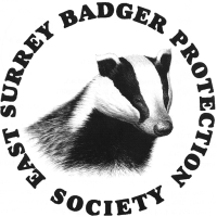 East Surrey Badger Protection Society logo