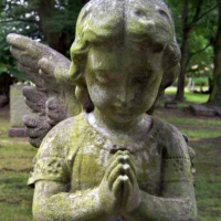 Friends of Warriston Cemetery logo