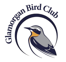Glamorgan Bird Club logo
