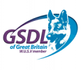 GSD League of GB logo