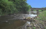 Kells Connor and Glenwherry Angling Club logo