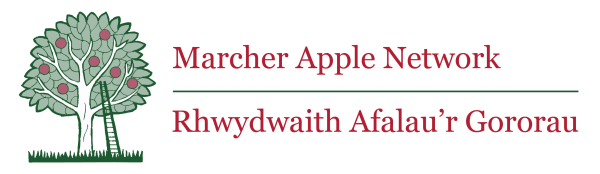 Marcher Apple Network logo