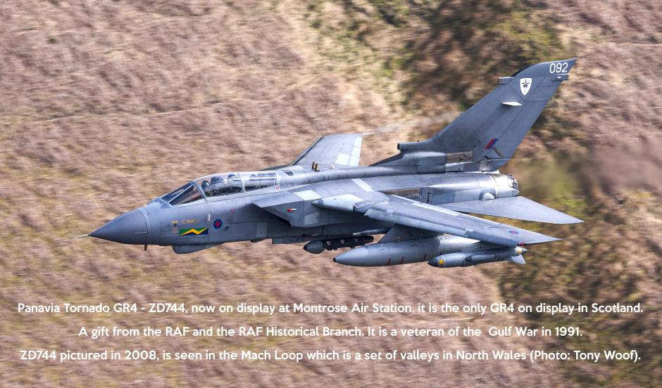 ZD744Mojo.jpg