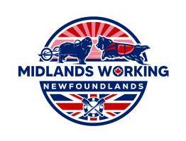 Midlands Working Newfoundlands logo