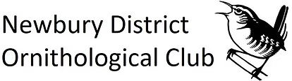 Newbury District Ornithological Club logo