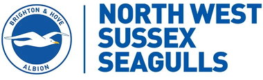 North West Sussex Seagulls logo