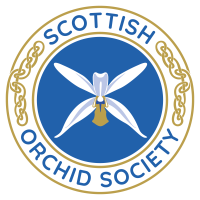 Scottish Orchid Society logo
