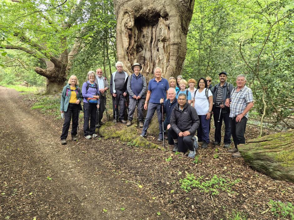 Group photo for home page May 2026.jpg