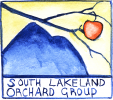 South Lakeland Orchard Group logo