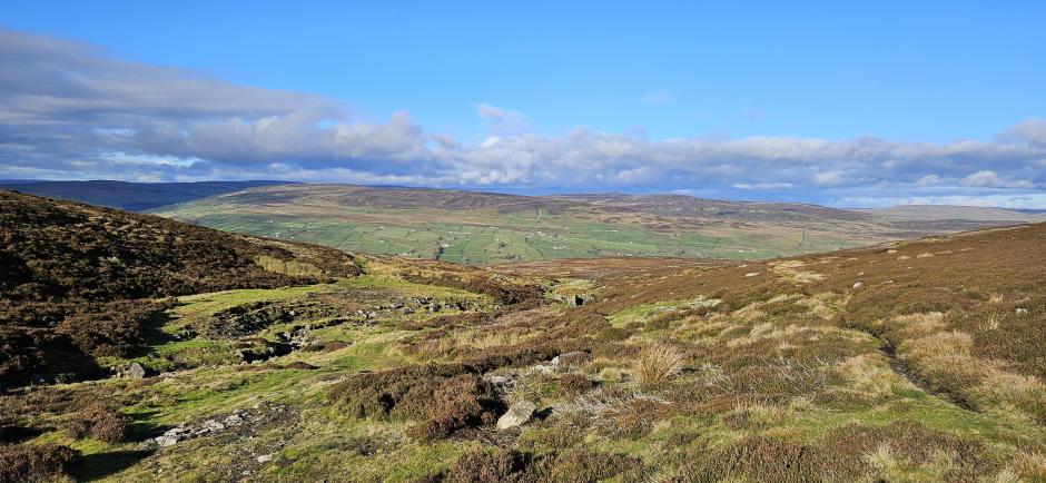 20231107_120339.jpg