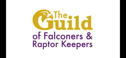 The Guild of Falconers and Raptor Keepers logo