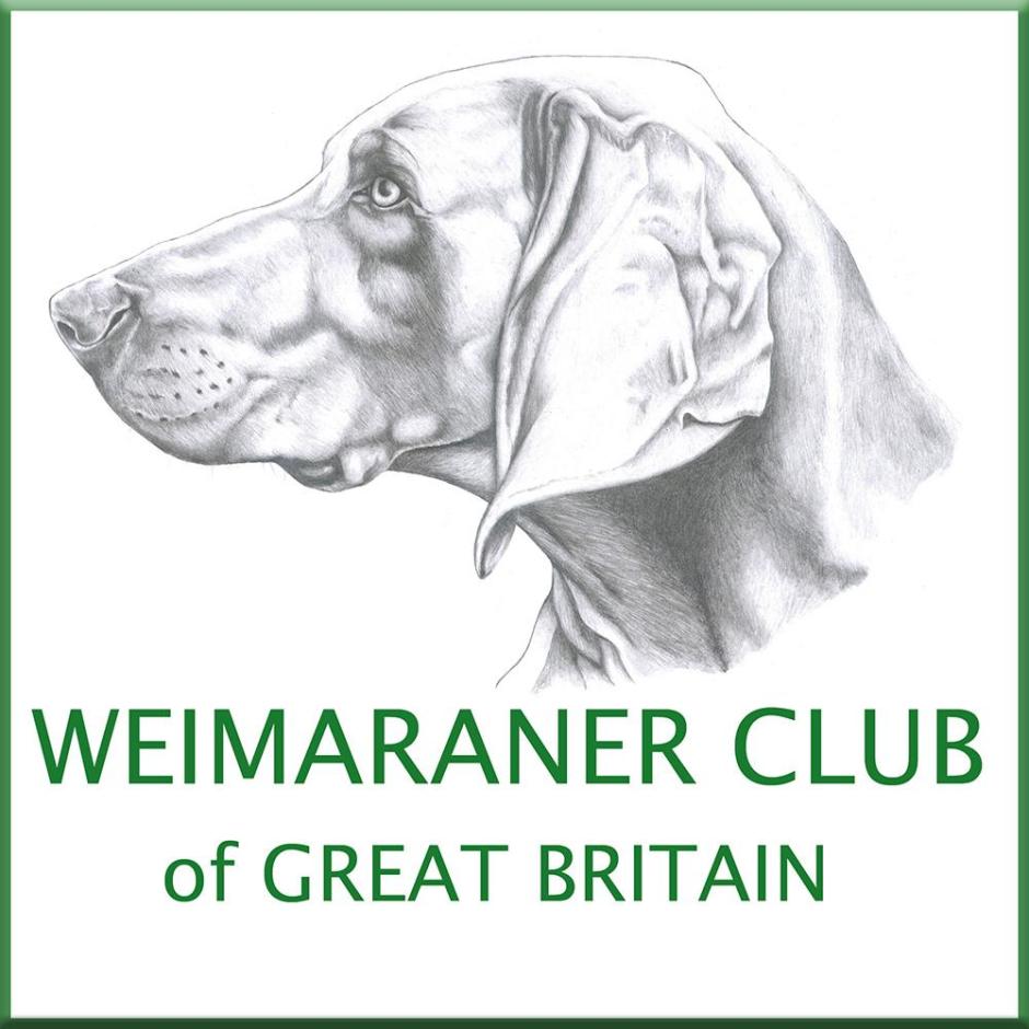 LOGO square with green border and wcgb medium size.jpg