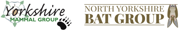 Yorkshire Mammal Group & North Yorkshire Bat Group logo
